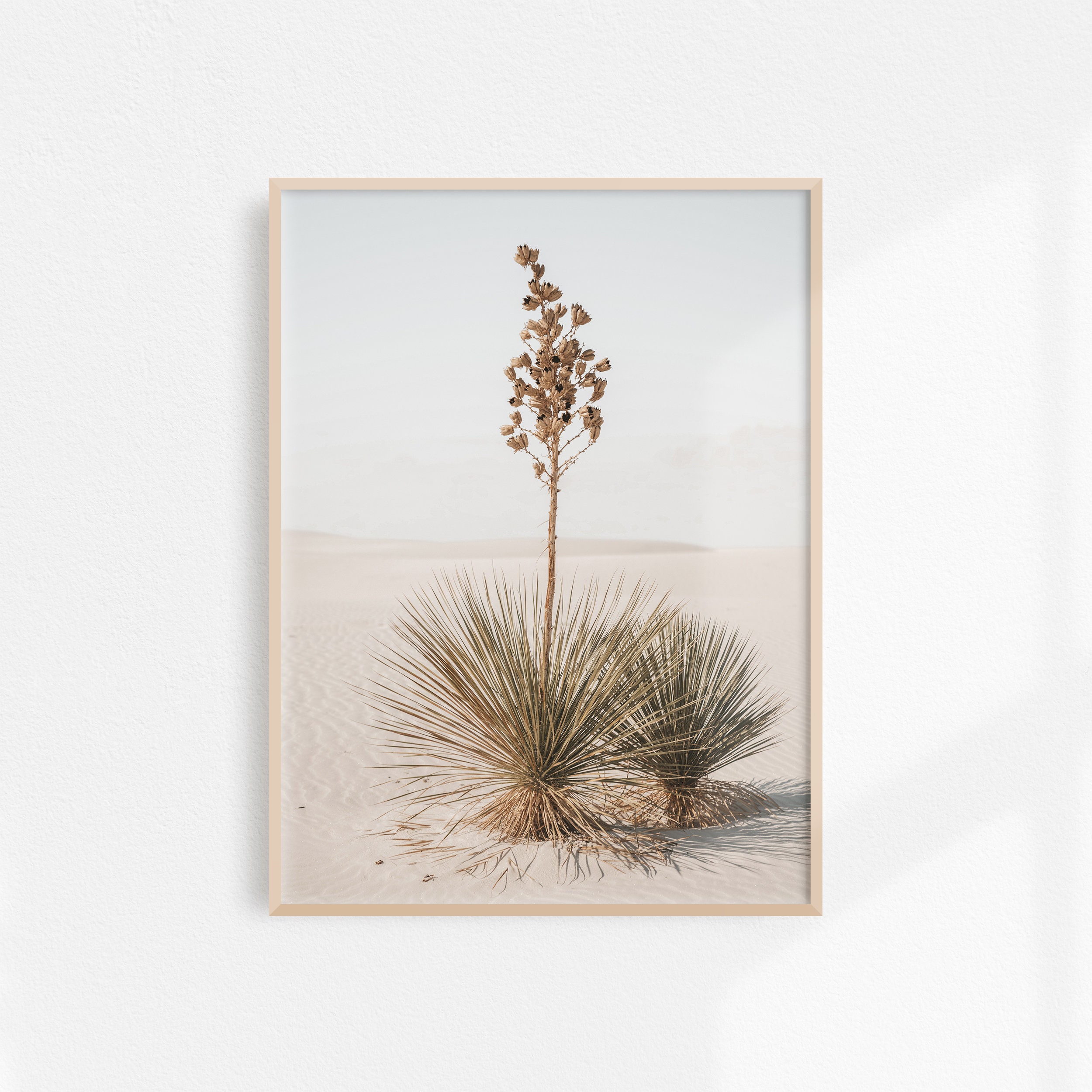 Home Decor Flower Wall Art Desert Flower Digital Wall Art Desert Flower