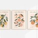 Fruit Market Prints | Lemons, Oranges, Peaches Wall Art | Fruit Print | Botanical Print | Kitchen Poster | Kitchen Printable Wall Art 