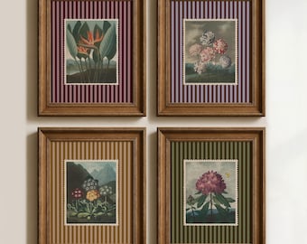 Vintage Botanical Art Set of 4: Maximalist Floral Art, Eclectic Wall Art, Colorful Striped Prints  (Physical Posters)