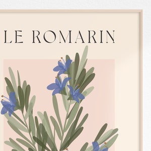 Op de afbeelding: Een botanische illustratie van rozemarijn met de tekst "LE ROMARIN" in zwarte letters op een lichtroze achtergrond.