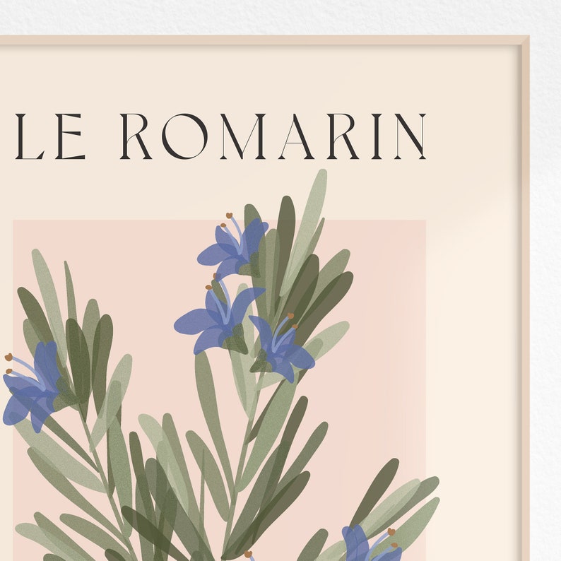 Op de afbeelding: Een botanische illustratie van rozemarijn met de tekst "LE ROMARIN" in zwarte letters op een lichtroze achtergrond.