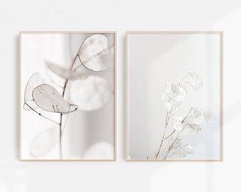 Lunaria Prints | Set of 2 Prints | Botanical Print Set | Botanical Prints | Dried Floral Print | Downloadable Print | Printable Art
