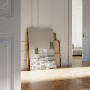 May include: A large rectangular mirror with a gold frame leans against a white wall. The mirror reflects a stone patio with a cactus in a white pot. The scene is set in a room with a wooden floor and white doors.