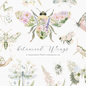 Puede incluir: Una colección de ilustraciones en acuarela que muestran insectos con patrones florales y botánicos en sus alas y cuerpos, incluyendo abeja, libélula, mariposa y caracol, con el texto botanical Wings 35 TRANSPARENT PNGS.