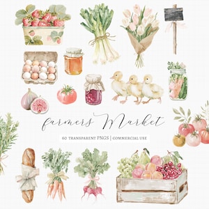 Könnte beinhalten: Eine Sammlung von Aquarellillustrationen mit Erdbeeren, Lauch, Tulpen, einem Schild, Eiern, Honig, Marmelade, Entenküken, Gemüse im Glas, Feigen, einer Tomate, Brot, Karotten, Radieschen und einer Obstkiste mit dem Text farmers Market 60 TRANSPARENT PNGS.