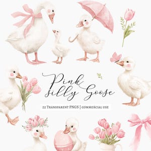 22 Watercolor Silly Goose Clipart Set, Pink Gosling PNG, Baby Girl Shower Decor, Cottagecore Nursery Art, spring goose png