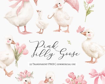 22 Watercolor Silly Goose Clipart Set, Pink Gosling PNG, Baby Girl Shower Decor, Cottagecore Nursery Art, spring goose png