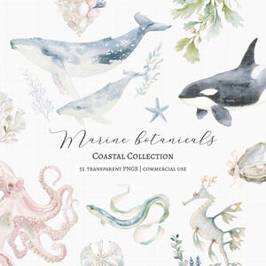 May include: A collection of watercolor marine illustrations featuring whales, an orca, an octopus, a seahorse, an eel, coral, and shells. The text reads Marine botanicals COASTAL COLLECTION 55 TRANSPARENT PNGS | COMMERCIAL USE on a grid background.
