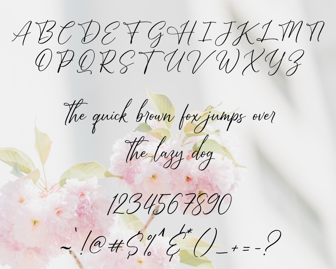 Bright Side Font Calligraphy Font Handwritten Script Font - Etsy