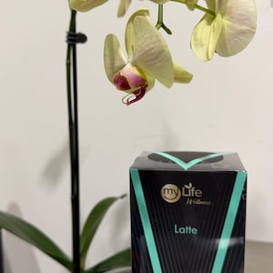 May include: A rectangular black box with a teal V-shaped graphic and the text my Life Wellness Latte, positioned next to a potted orchid with pale yellow and pink flowers on a thin black stem with green leaves in a square white planter.