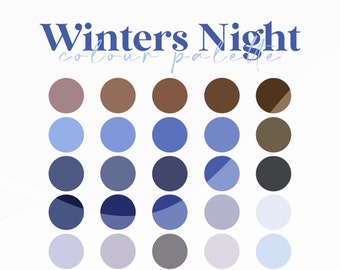 Winters Night Procreate Colour Palette, Color Palette, Procreate Swatches, iPad Illustration, Procreate Art, Digital Art