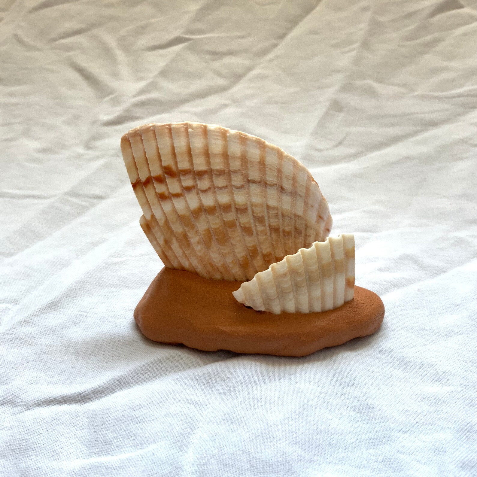 Shell and Clay Art | Etsy