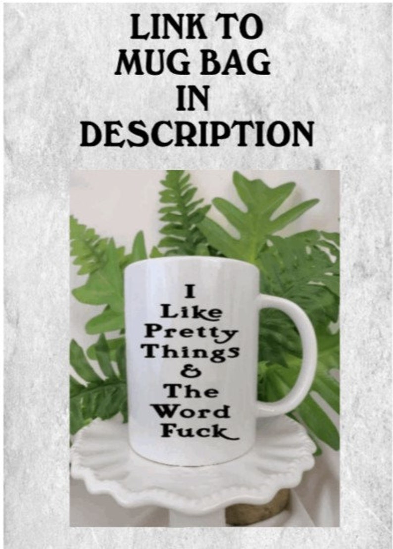 I Like Pretty Things & The Word Fuck, Funny Whiskey Bottle Gift Bag, Adult Drinking Humor With Profanity, Best Friend Birthday Party Favors image 8