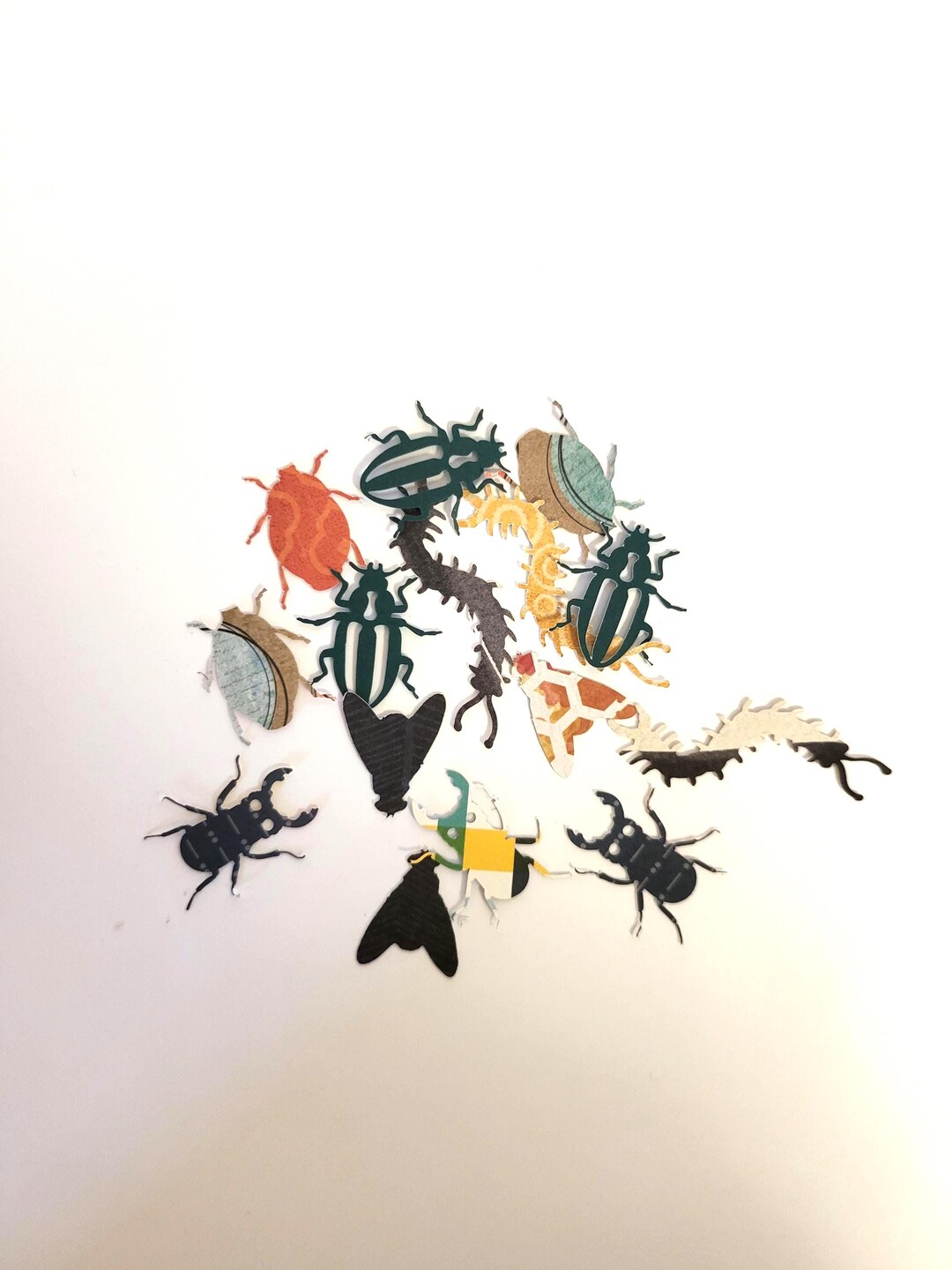 Bug Confetti: Whimsical Party Decor - 500 Piece Insect Mix - Etsy