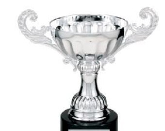 personalized best husband trophy