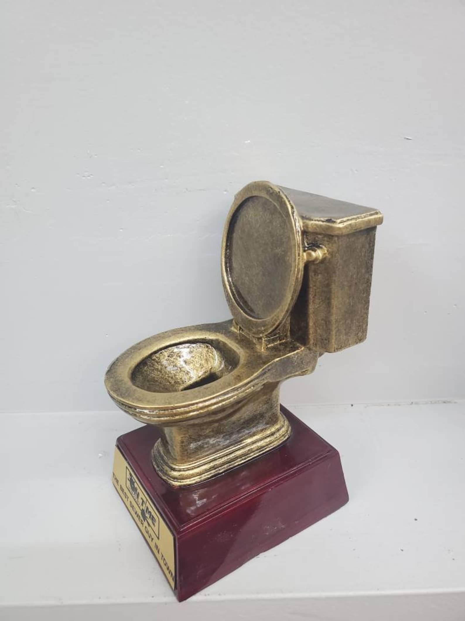Golden Toilet Resin Award Last Place Toilet Trophy Toilet - Etsy