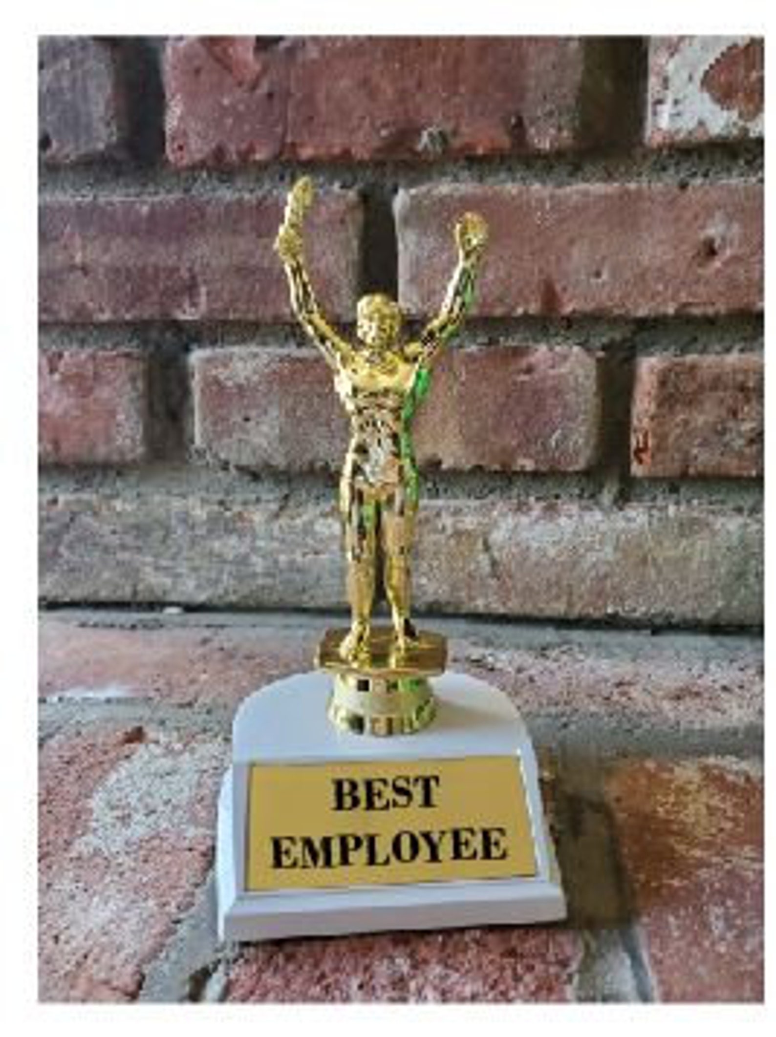 Worlds Best Mom Trophy Personalized Best Mom Award Engraved Etsy worlds-best-mom-trophy-personalized-best-mom-award-engraved-etsy