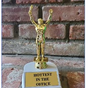 custom Hottest in the office Trophy, office Award, Personalized Award, wedding Gift