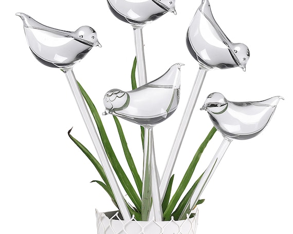 Self-Watering Bird Watering Sticks