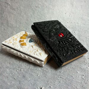 May include: Two rectangular journals with textured covers. One journal is black with a prominent red eye in the center. The other journal is white with gold-toned accents and a blue eye in the center. Both covers feature raised, scale-like details.