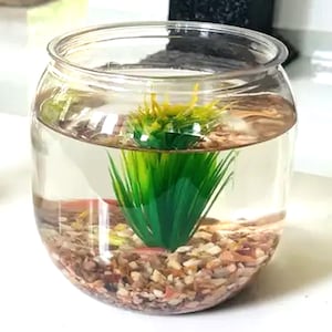 Pode incluir: Um aquário de vidro transparente cheio de água, cascalho decorativo e uma planta artificial verde e amarela. A tigela redonda tem uma abertura larga e está sobre uma superfície branca.