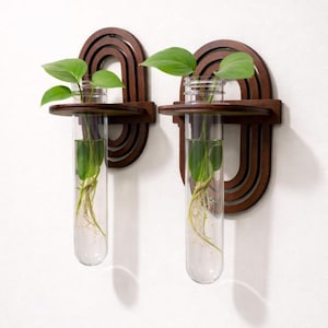 Może przedstawiać: Dwie stacje do rozmnażania roślin montowane na ścianie. Każda stacja posiada ciemnobrązową drewnianą ramę z półką i przezroczystą szklaną tubą. Zielone rośliny z widocznymi korzeniami znajdują się wewnątrz tub, a ramy mają łukowaty kształt.