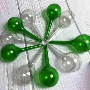 Può includere: Una collezione di globi per l'irrigazione delle piante in vetro trasparente e verde disposti a cerchio. Ogni globo ha una parte superiore bulbosa e un gambo sottile. I globi verdi sono di un colore vibrante e saturo, mentre gli altri sono trasparenti.