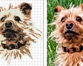 Digitization embroidery file animal / pet by photo