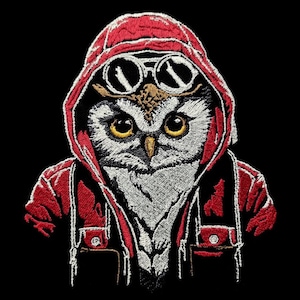 Könnte beinhalten: Gestickter Aufnäher eines Eulen, die eine rote Kapuzenjacke und eine Sonnenbrille trägt. Die Eule hat gelbe Augen und ein weißes Gesicht.