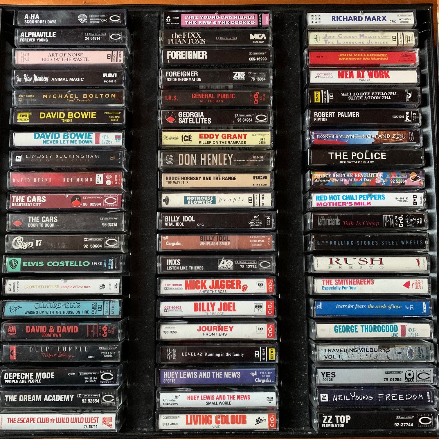 Lot Of Casset Tapes With Case Classic Rock np.gov.lk
