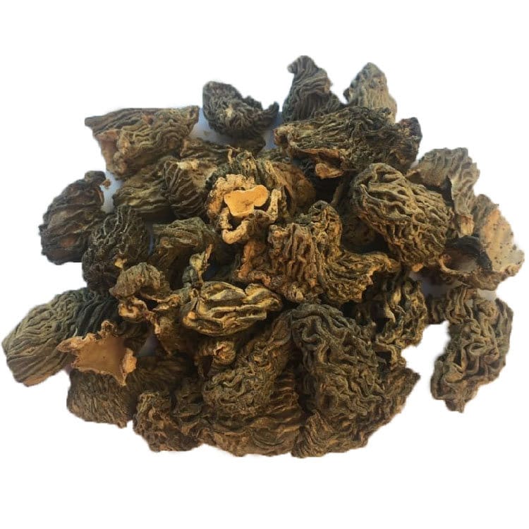 Morillons Sauvages Séchés Qualité Premium Verpe de Bohème Verpa Bohémica