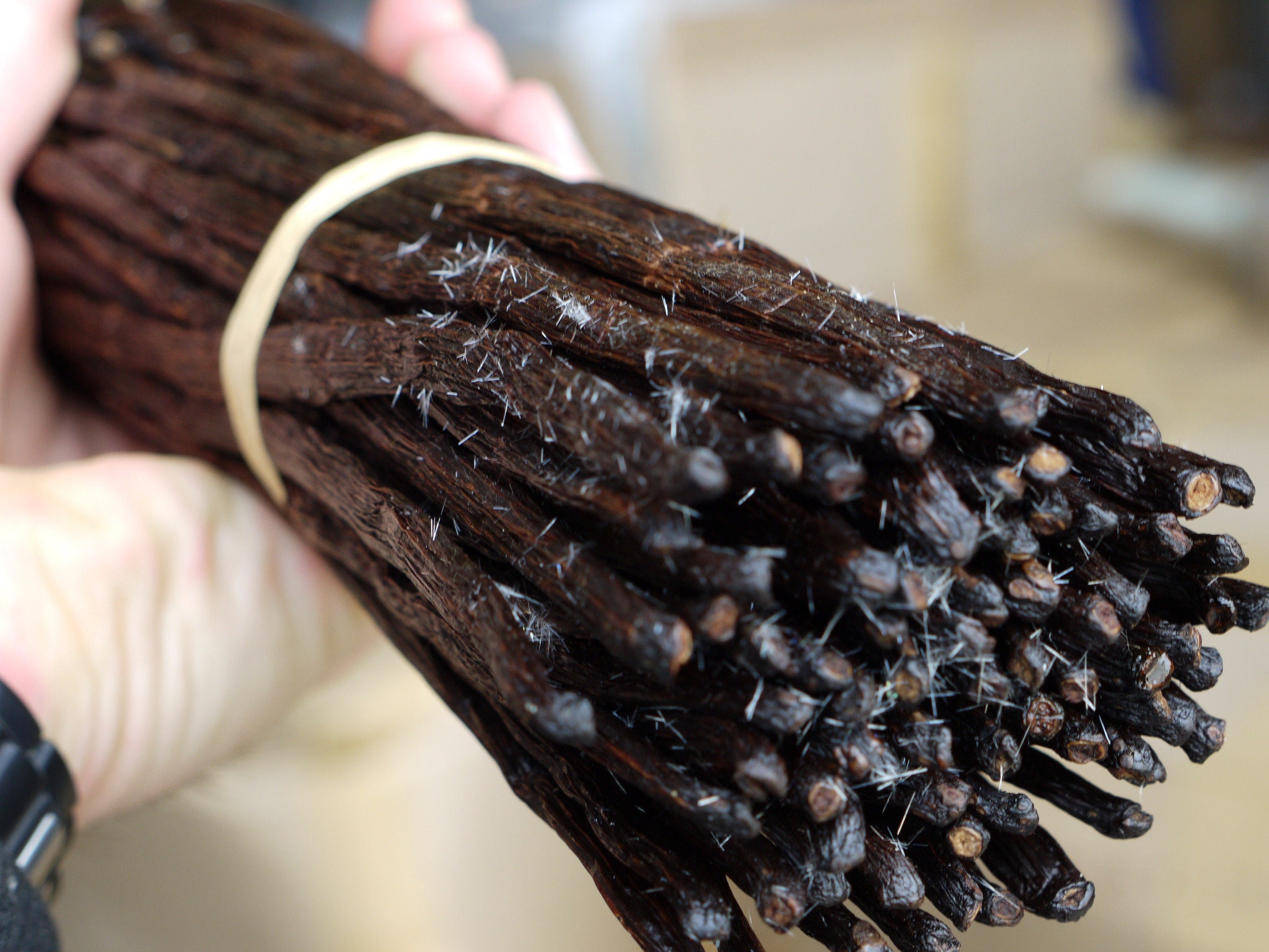 Gousses de Vanille Tahiti Papouasie Nouvelle-Guinée 14-15 cm