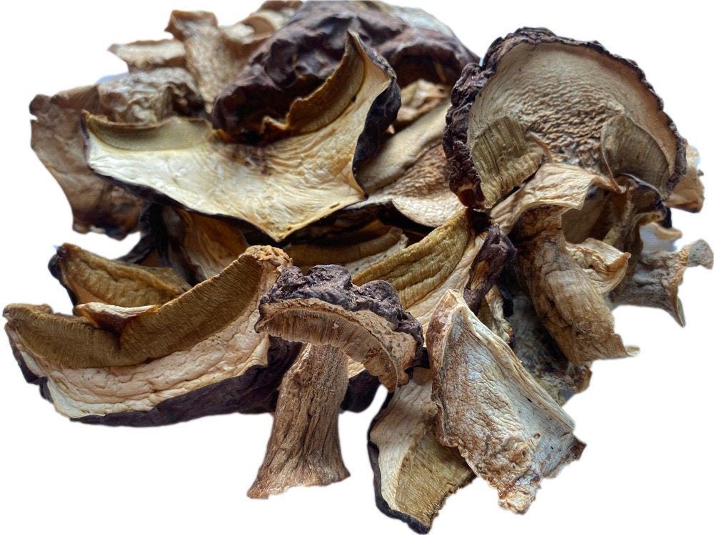 Cèpes Sauvage Séchés Qualité Premium Boletus Edulis