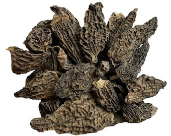 Morilles séchées - Qualité spéciales régular