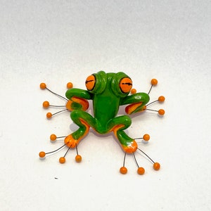 Frog image 4