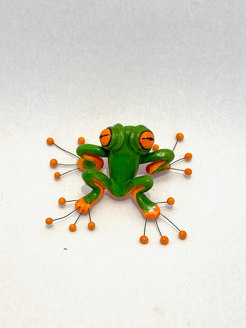 Frog image 4