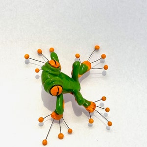 Frog image 3