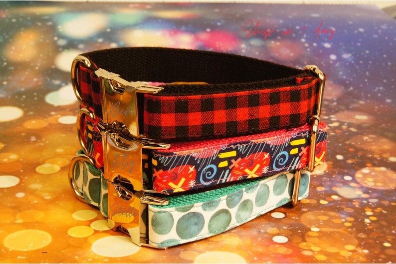 Custom Dog Collar with Leash Set | Engraved Name Phone Number Custom Dog Collar with Leash Set | Engraved Name Phone Number