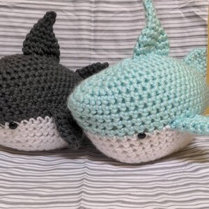 Shiloh the Shark