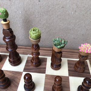 Cacti plant chess set