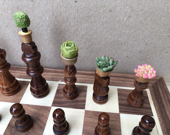 Cacti plant chess set