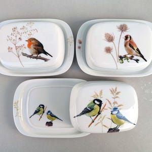 Könnte beinhalten: Drei weiße Butterdosen aus Keramik mit Deckeln, jeweils mit detaillierten Illustrationen von Vögeln und getrockneten Pflanzen. Zwei Dosen sind geschlossen mit Rotkehlchen- und Stieglitzmotiven, die dritte ist offen und zeigt Meisen-Illustrationen.
