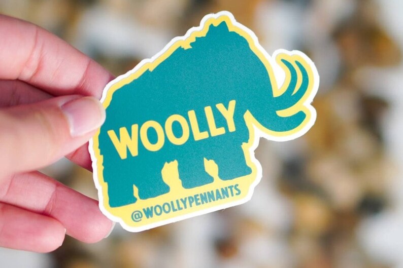 100 Custom Vinyl Laminated Stickers Best Prices Small Etsy