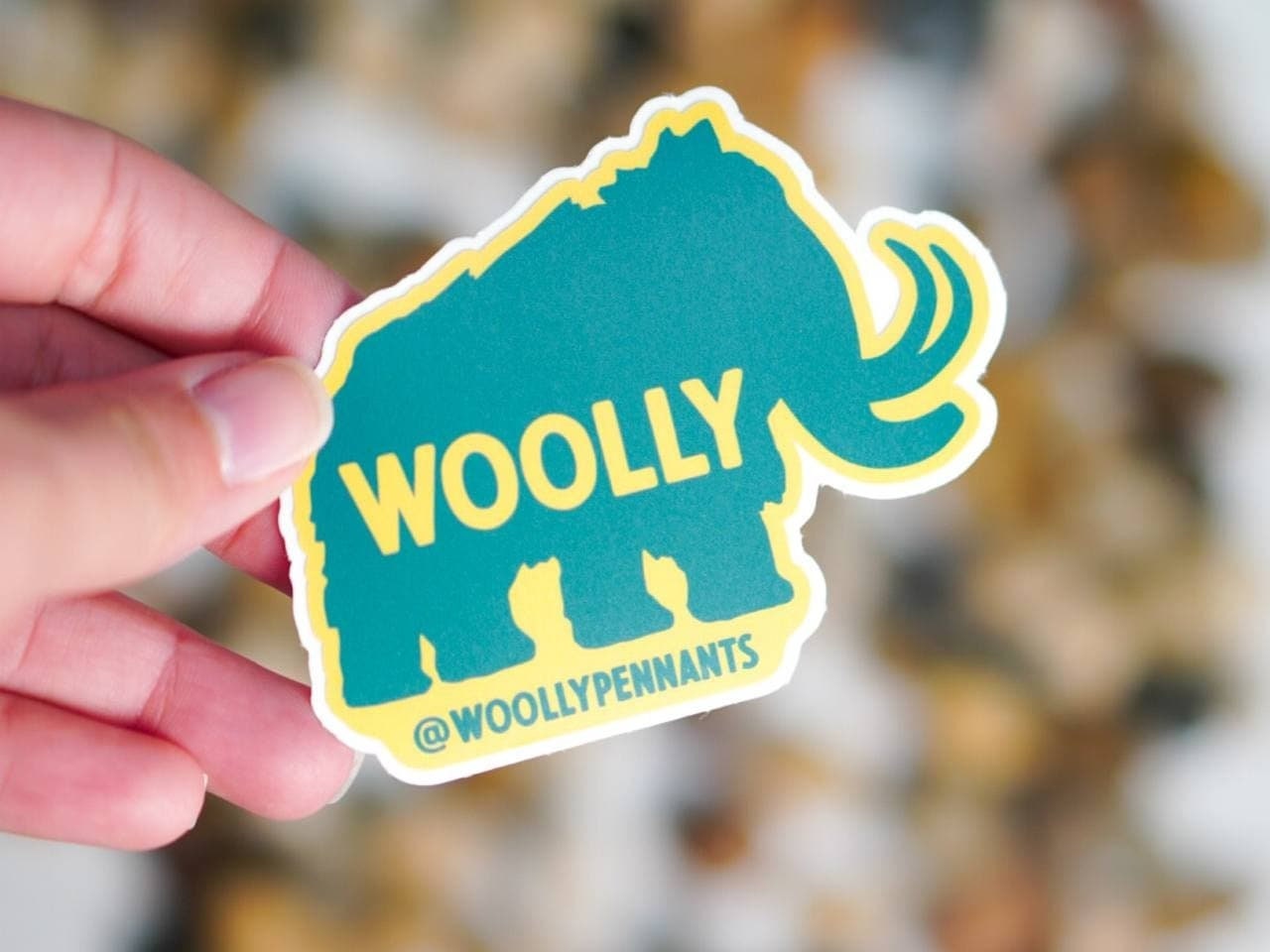 50 Custom Vinyl Laminated Stickers Best Prices Small Etsy