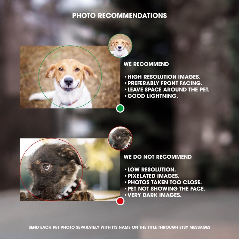 Save Dog Sticker Customized Pet Photo and Name Sticker, Save Our Pets, Window and Door ...