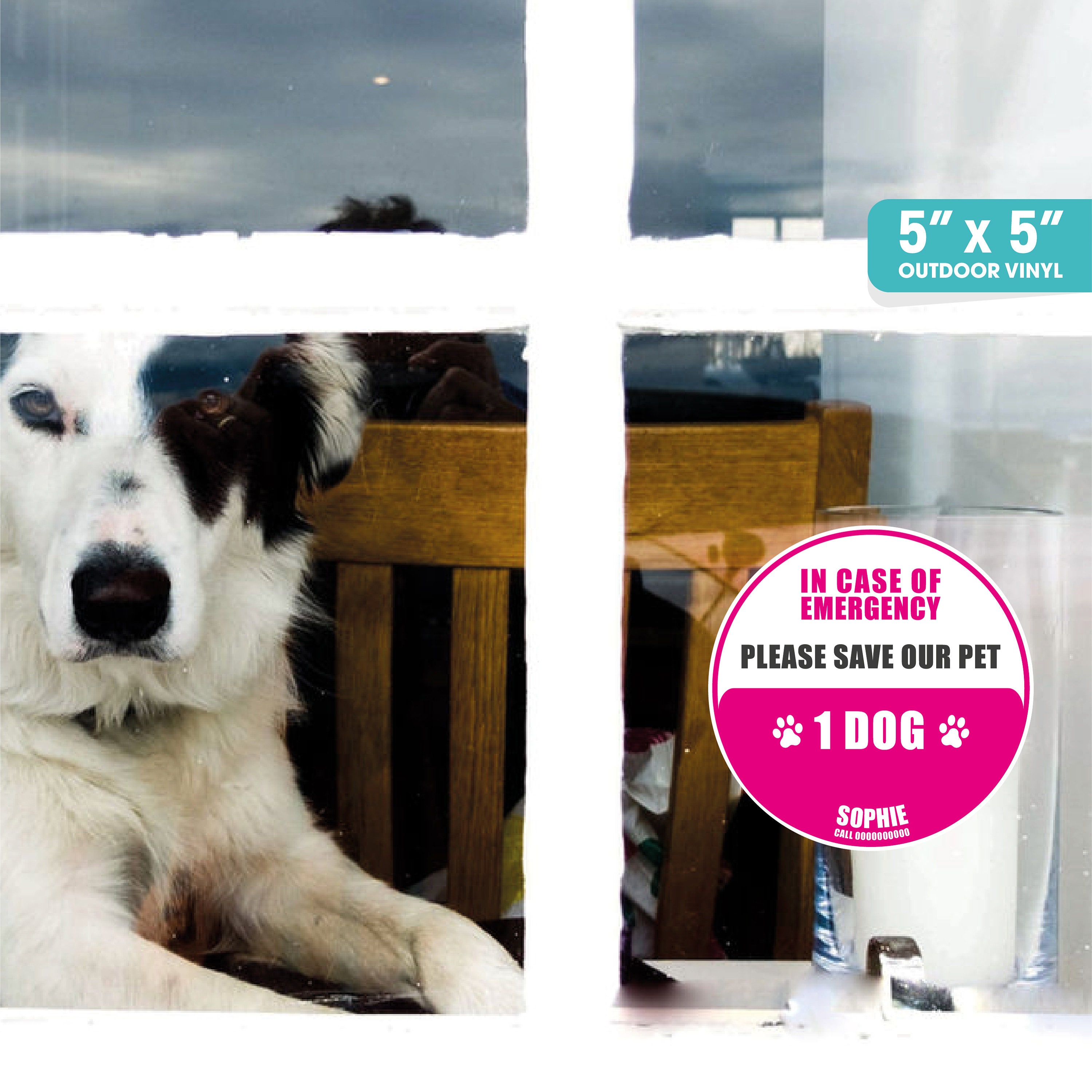 Customized Pet Emergency Sticker, Save Our Pets, Window and Door ...