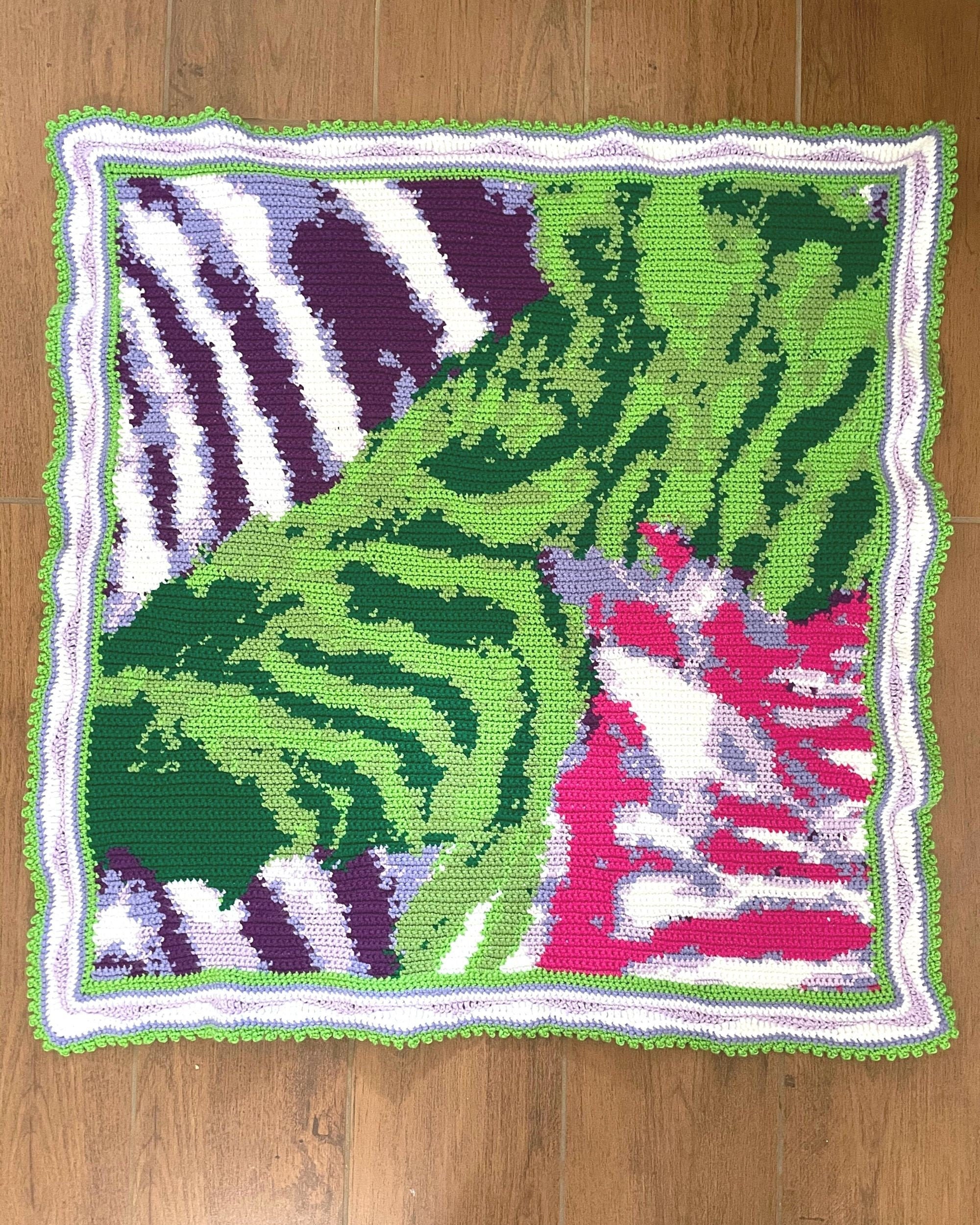 Zebra Blanket Abstract Colorful Zebra Picture Afghan Etsy UK