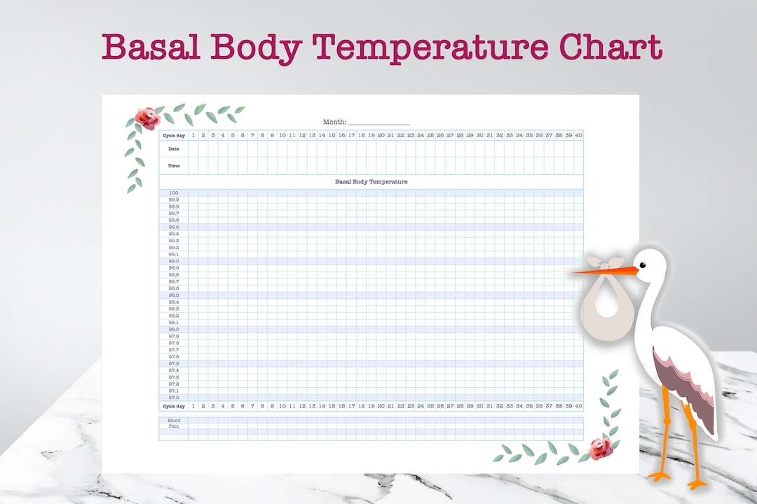 Basal Body Temperature Chart BBT Body Temperature Tracker Fertility