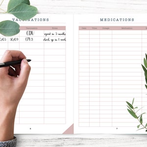May include: A white page with a pink header and gridded lines. The header says "Vaccinations" and "Medications". The page is divided into two sections. The left section has a list of vaccinations with notes. The right section has a table with columns for date, time, dosage, medication, and notes.