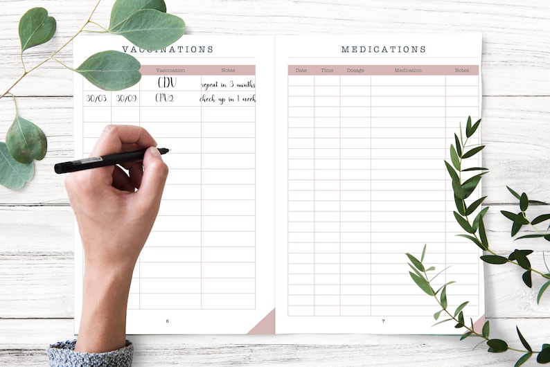 May include: A white page with a pink header and gridded lines. The header says "Vaccinations" and "Medications". The page is divided into two sections. The left section has a list of vaccinations with notes. The right section has a table with columns for date, time, dosage, medication, and notes.